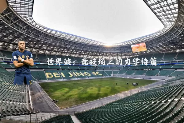 世界波:竞技场上的力学诗篇